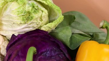 Canlı ve taze sebzeler sergilenir.