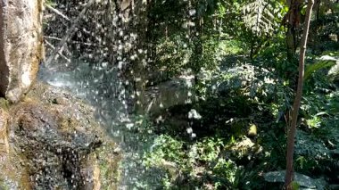 Canlı, yeşil bir ortamda çağlayan sular.