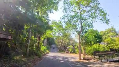 Khao Kheow Açık Hayvanat Bahçesi, Chonburi, Tayland 'daki yemyeşil ve sakin yollarda sakin bir yolculuk. Güneşli yollar ve canlı yapraklar.