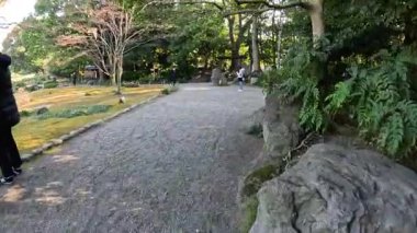 Geleneksel bir Japon bahçesinde huzurlu bir yürüyüş.