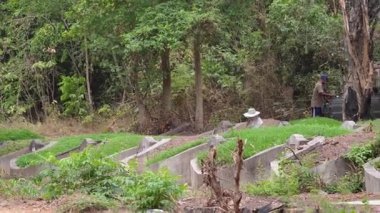 Zaman içinde bahçede çalışan biri.