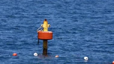 Martı sakin denizde şamandıraya tünedi.