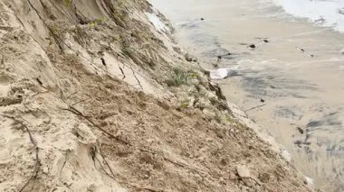 Alfred Kasırgası sırasındaki kumsal erozyonunu ve dalgaları gösteren bir dizi çerçeve, çevresel etkiyi ve fırtınalı havayı vurguluyor.