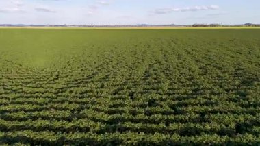 Geniş yeşil alan açık bir gökyüzü altında