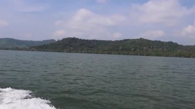 Sakin, ormanlık bir gölde tekne gezintisi.