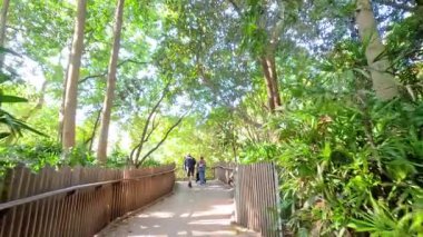 Görkemli bir patika boyunca yürüyen ziyaretçiler