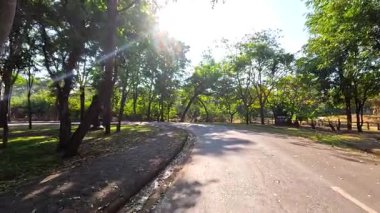 Güneşli bir hayvanat bahçesi yolunda huzurlu bir yürüyüş