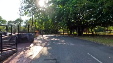 Bereketli, güneşli hayvanat bahçesi manzarasında huzurlu bir yürüyüş.