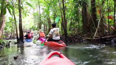 Bereketli Yengeç ormanında toplu kayak macerası.