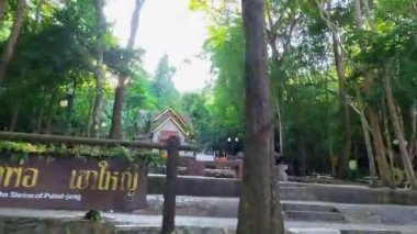 Bereketli orman park alanından manzaralı bir gezinti.