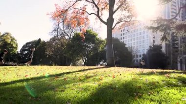 Güneşli bir parkta koşan ve oynayan çocuklar