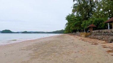 Bereketli yeşillik ve sakin okyanus dalgalarıyla sakin kumlu sahil