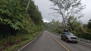 Etrafı ormanlarla çevrili dolambaçlı bir yolda seyahat ediyorum.