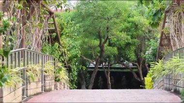 Bereketli yeşilliklerle çevrili sakin bir yürüyüş yolu.