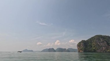 Kuş tropik adaların yakınında denizde süzülür.