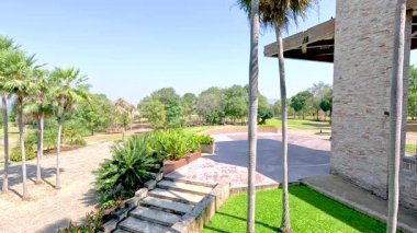 Golf sahasında palmiye ağaçları ve yeşillik.