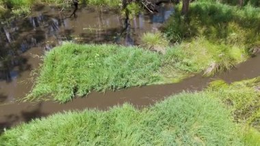 Bereketli ormandaki derenin havadan görünüşü