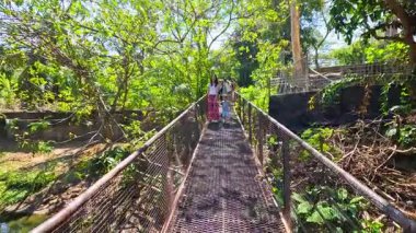 Aile gezintileri manzaralı bir orman köprüsünde