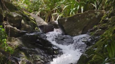 Yağmur ormanlarındaki kayaların üzerinden akan su.