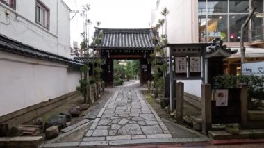 Geleneksel bir Japon tapınağında huzurlu bir gezinti..