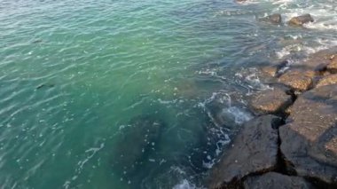 Port Phillip Körfezi 'nde hafif dalgalar kayalara çarpıyor