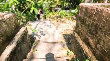 Zengin, manzaralı hayvanat bahçesi yolunda yürüyen ziyaretçi.