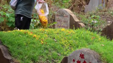Bir mezarlığa dağılan çiçekler.
