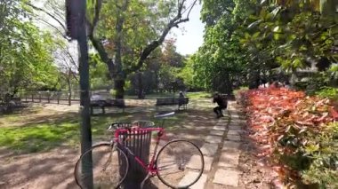 Person taking photos in a Milan park