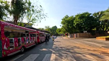 Tram and bicycles in a sunny zoo street