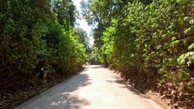 Bereketli bir yeşilliğin içinde huzurlu bir yürüyüş