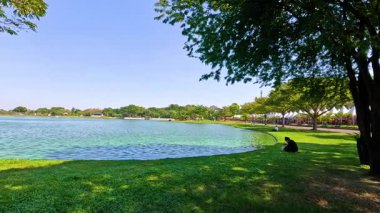 Serene pond view with lush greenery and trees