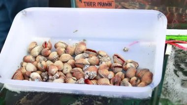 Cockles displayed in trays at seafood market