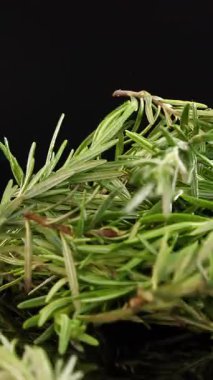 A bundle of fresh rosemary sprigs falls and settles on a glossy black surface, captured in high detail with studio lighting and a static camera