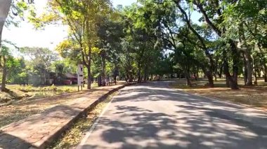 Peaceful drive through tree-lined park road