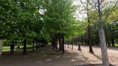 İnsanlar yemyeşil bir parkta yürüyor.