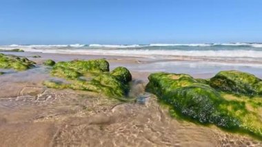 Ocean waves hitting moss-covered rocks on the beach