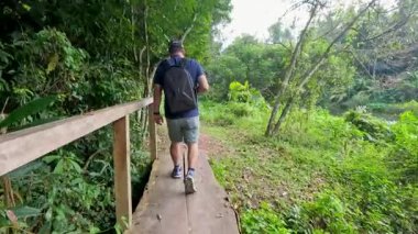 A man explores a vibrant forest trail
