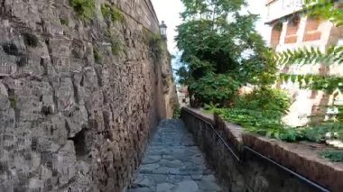 Narrow stone stairway with lush greenery