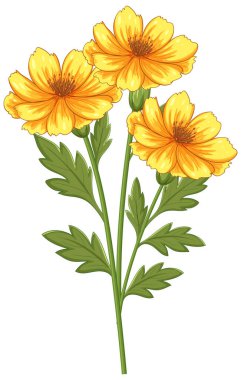 Detaylı yaprakları olan parlak sarı çiçekler ve temiz, vektör tarzı yeşil yapraklar. Botanik tasarımlar için mükemmel.