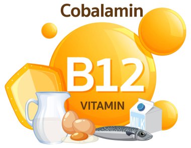 Süt, yumurta, balık ve peynir gibi besin kaynaklarıyla B12 vitamininin parlak vektör çizimi