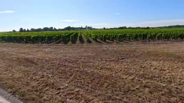 Yol ve tabelaları olan bir üzüm bağı.