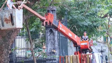 İşçiler ağaç bakımı için vinç kullanıyor