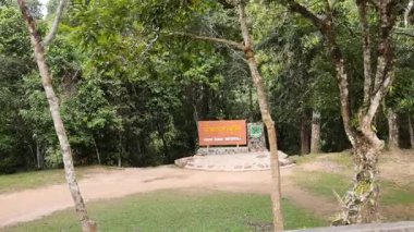 Bir orman yolu boyunca tabela yaklaşıyor.