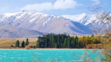 Tekapos Gölü 'nün turkuaz suyu, sonbahar ağaçları ve uzak dağlarla aydınlık gün ışığı altında çam ormanlarının geniş bir görüntüsü. İnce kamera hareketi, doğal ışıklandırma..   