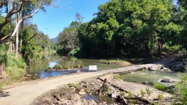 Bereketli yeşillikler ve açık mavi gökyüzü ile çevrili, sakin bir orman deresi kırsal ahşap bir köprünün altından akar.