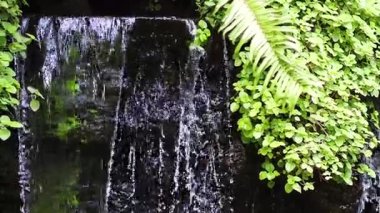 Su yemyeşil kayaların üzerinde çağlayarak akıyor.