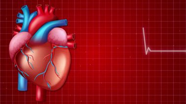 Kırmızı ızgara arka planında titreşimli elektrokardiyogram çizgisi olan bir insan kalbinin dinamik animasyonu.