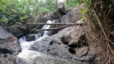 Kayaların üzerinden akan sular yemyeşil ormanlarda