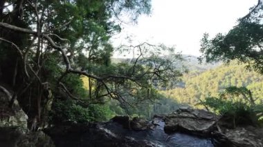 Ormanlara giden yol.