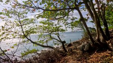 Phuket, Tayland 'da bereketli yeşillik, kayalık arazi ve okyanus manzaralı sakin bir sahil yolu.